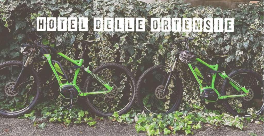 Hotel Delle Ortensie Fiuggi Kültér fotó